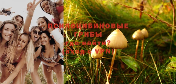 гидропоника Абинск