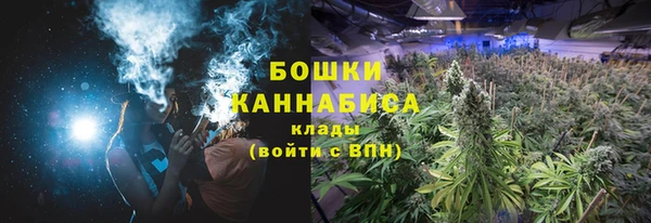дурь Михайловск