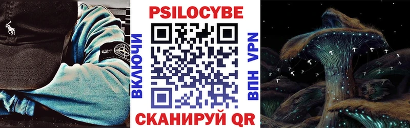 Псилоцибиновые грибы Psilocybe  Райчихинск 